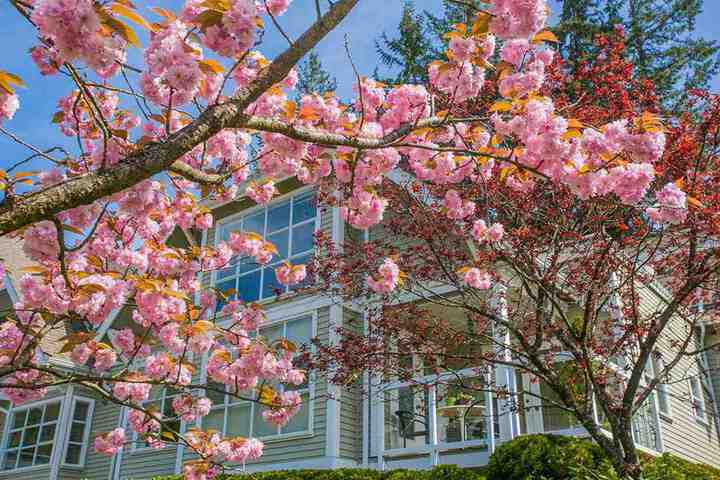 3373-capilano-crescent-capilano-nv-north-vancouver-21 at 304 - 3373 Capilano Crescent, Capilano NV, North Vancouver 3373-capilano-crescent-capilano-nv-north-vancouver-21 at 304 - 3373 Capilano Crescent, Capilano NV, North Vancouver