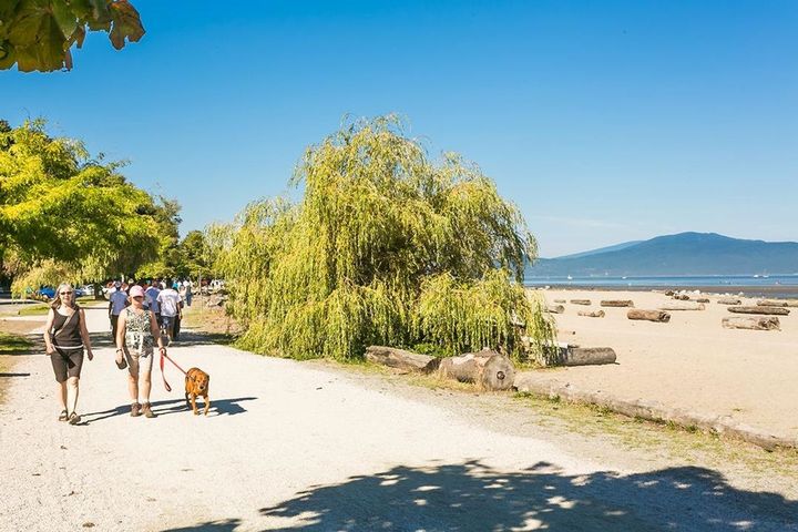2999-w-2nd-avenue-kitsilano-vancouver-west-38 at B - 2999 W 2nd Avenue, Kitsilano, Vancouver West 2999-w-2nd-avenue-kitsilano-vancouver-west-38 at B - 2999 W 2nd Avenue, Kitsilano, Vancouver West