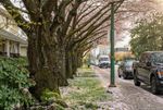 261-e-4th-street-lower-lonsdale-north-vancouver-37 at 261 E 4th Street, Lower Lonsdale, North Vancouver