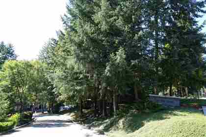 1240-falcon-drive-upper-eagle-ridge-coquitlam-19 at 43 - 1240 Falcon Drive, Upper Eagle Ridge, Coquitlam
