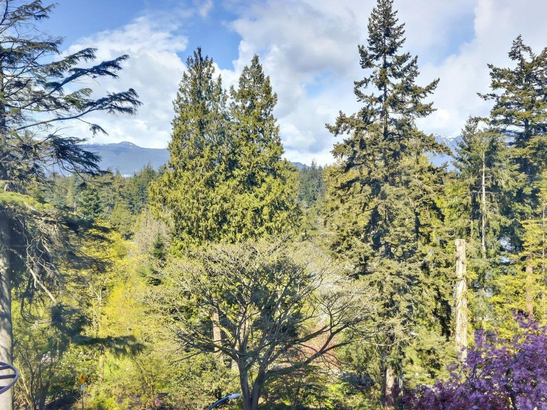 2088-barclay-street-west-end-vw-vancouver-west-25 at 501 - 2088 Barclay Street, West End VW, Vancouver West 2088-barclay-street-west-end-vw-vancouver-west-25 at 501 - 2088 Barclay Street, West End VW, Vancouver West