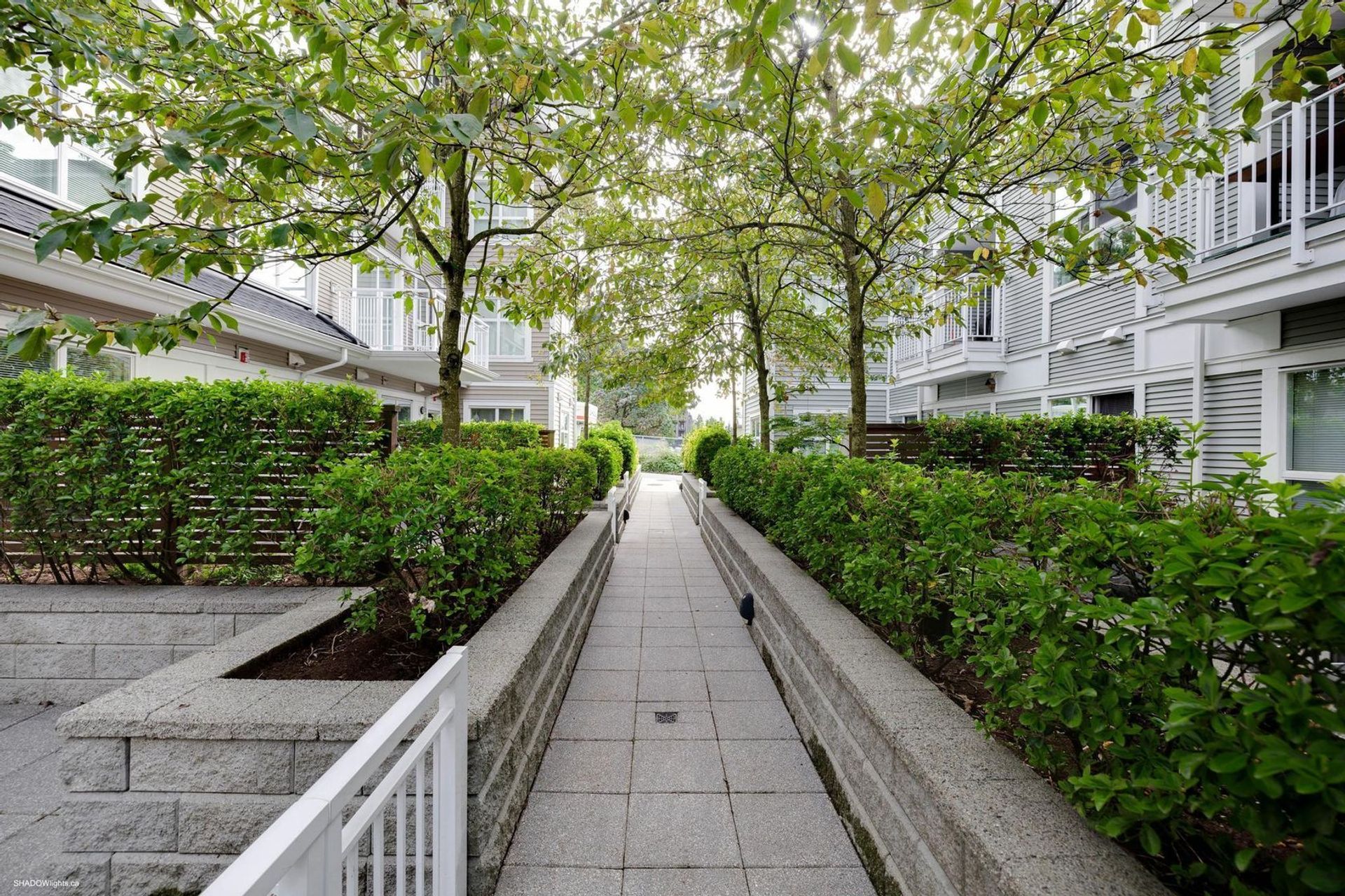 618-langside-avenue-coquitlam-west-coquitlam-22 at 204 - 618 Langside Avenue, Coquitlam West, Coquitlam 618-langside-avenue-coquitlam-west-coquitlam-22 at 204 - 618 Langside Avenue, Coquitlam West, Coquitlam