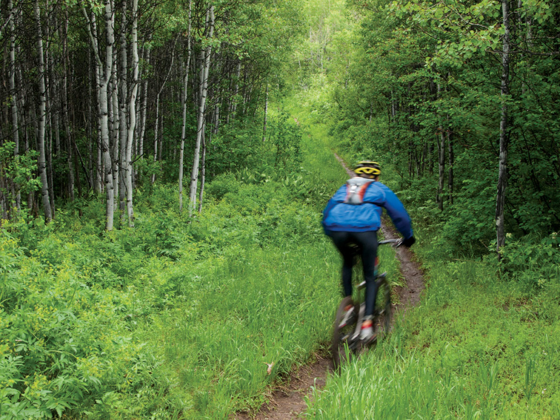 bike_102579513 at 23 - 3468 Mt Seymour Parkway, Northlands, North Vancouver bike_102579513 at 23 - 3468 Mt Seymour Parkway, Northlands, North Vancouver