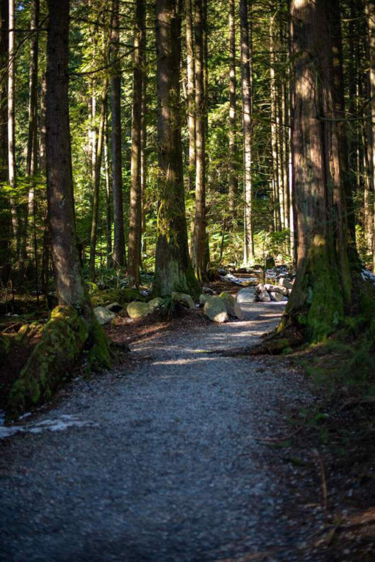 3490-mt-seymour-parkway-northlands-north-vancouver-09 at 16 - 3468 Mt Seymour Parkway, Northlands, North Vancouver 3490-mt-seymour-parkway-northlands-north-vancouver-09 at 16 - 3468 Mt Seymour Parkway, Northlands, North Vancouver