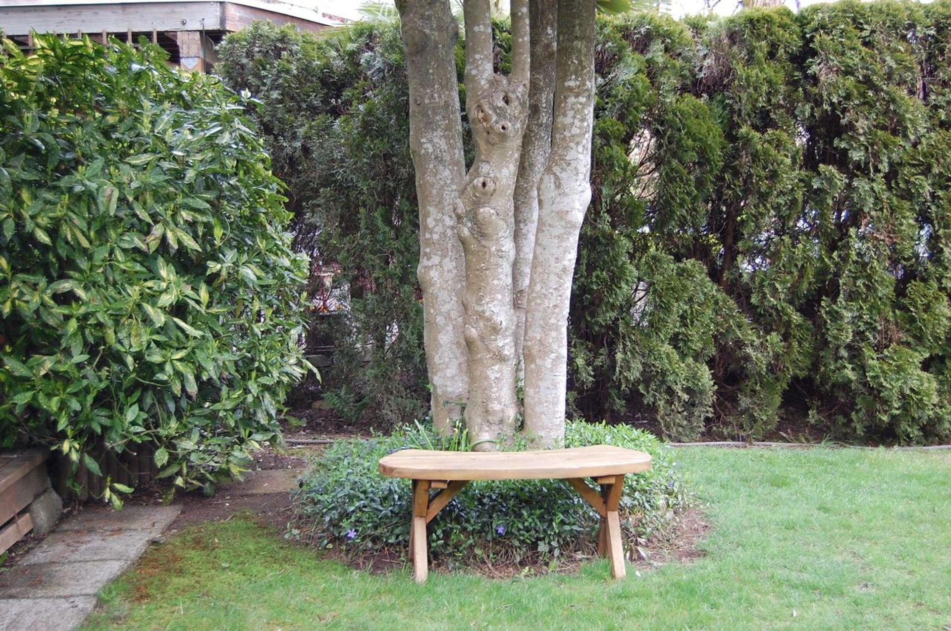 3618-maginnis-avenue-lynn-valley-north-vancouver-30 at 3618 Maginnis Avenue, Lynn Valley, North Vancouver 3618-maginnis-avenue-lynn-valley-north-vancouver-30 at 3618 Maginnis Avenue, Lynn Valley, North Vancouver