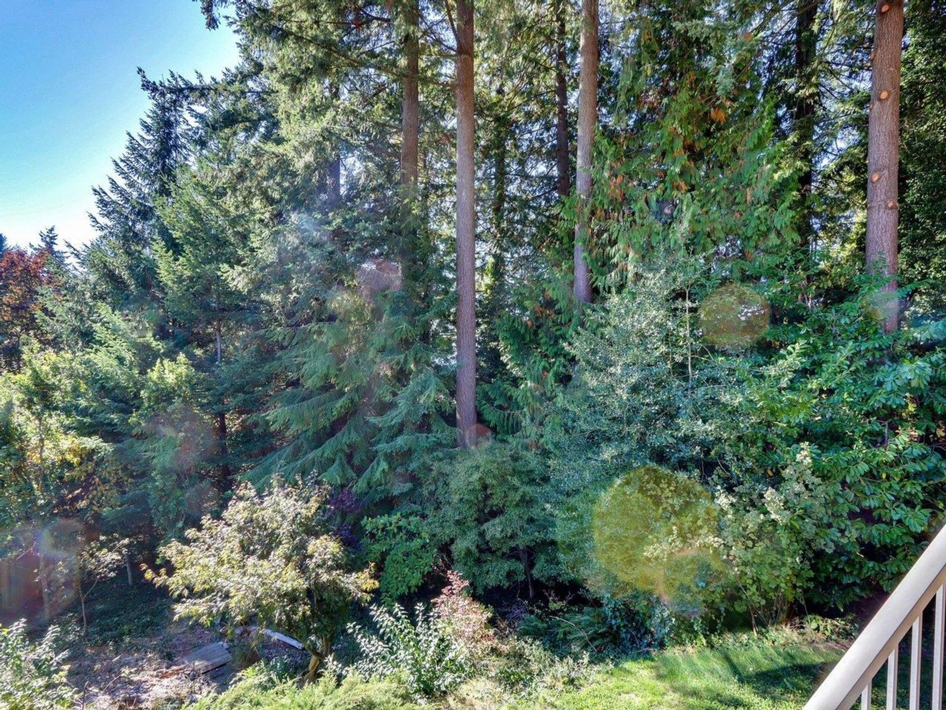 4444-starlight-way-upper-delbrook-north-vancouver-23 at 4441 Starlight Way, Upper Delbrook, North Vancouver 4444-starlight-way-upper-delbrook-north-vancouver-23 at 4441 Starlight Way, Upper Delbrook, North Vancouver