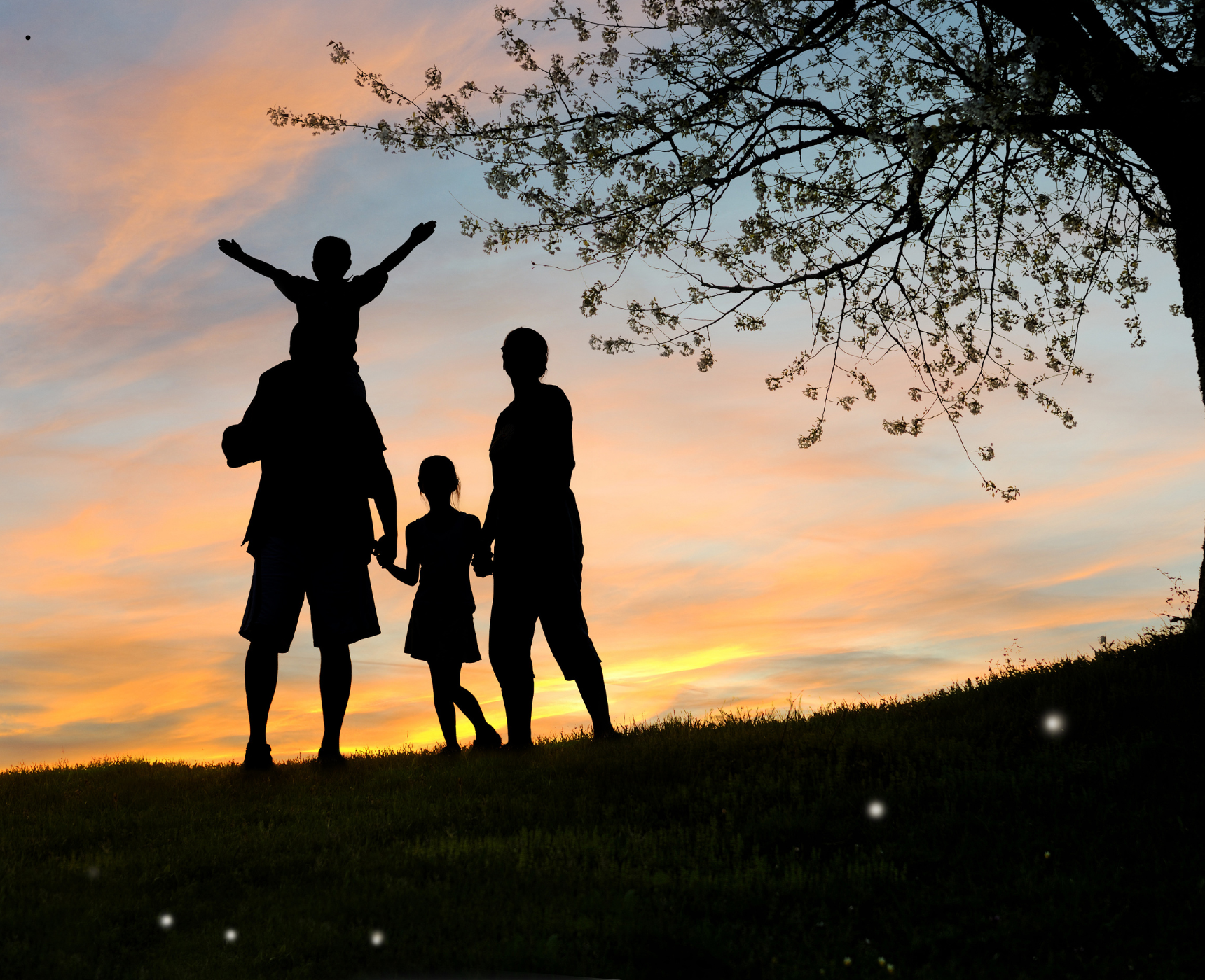 Explore Chase River, BC 2