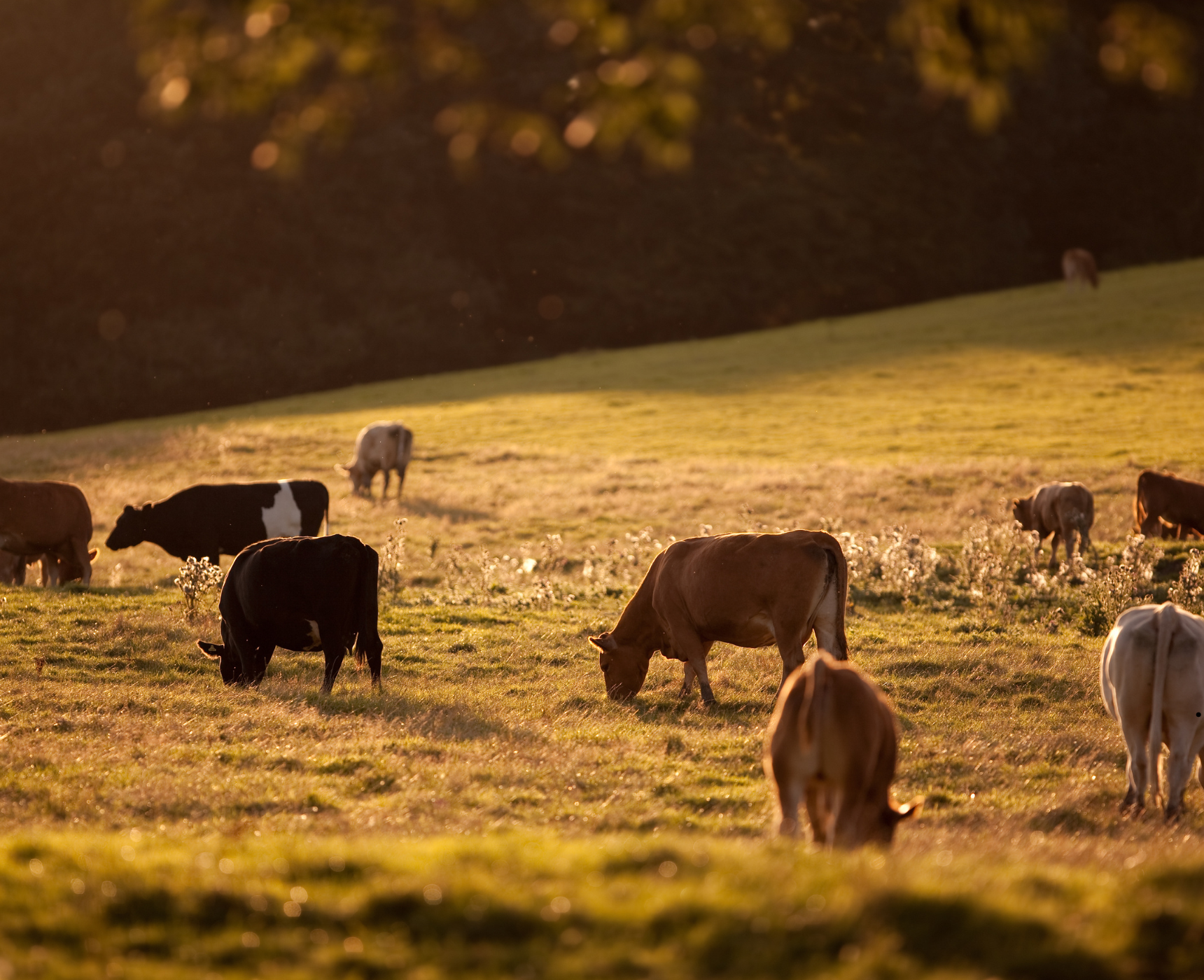 Explore Yellow Point, BC 2