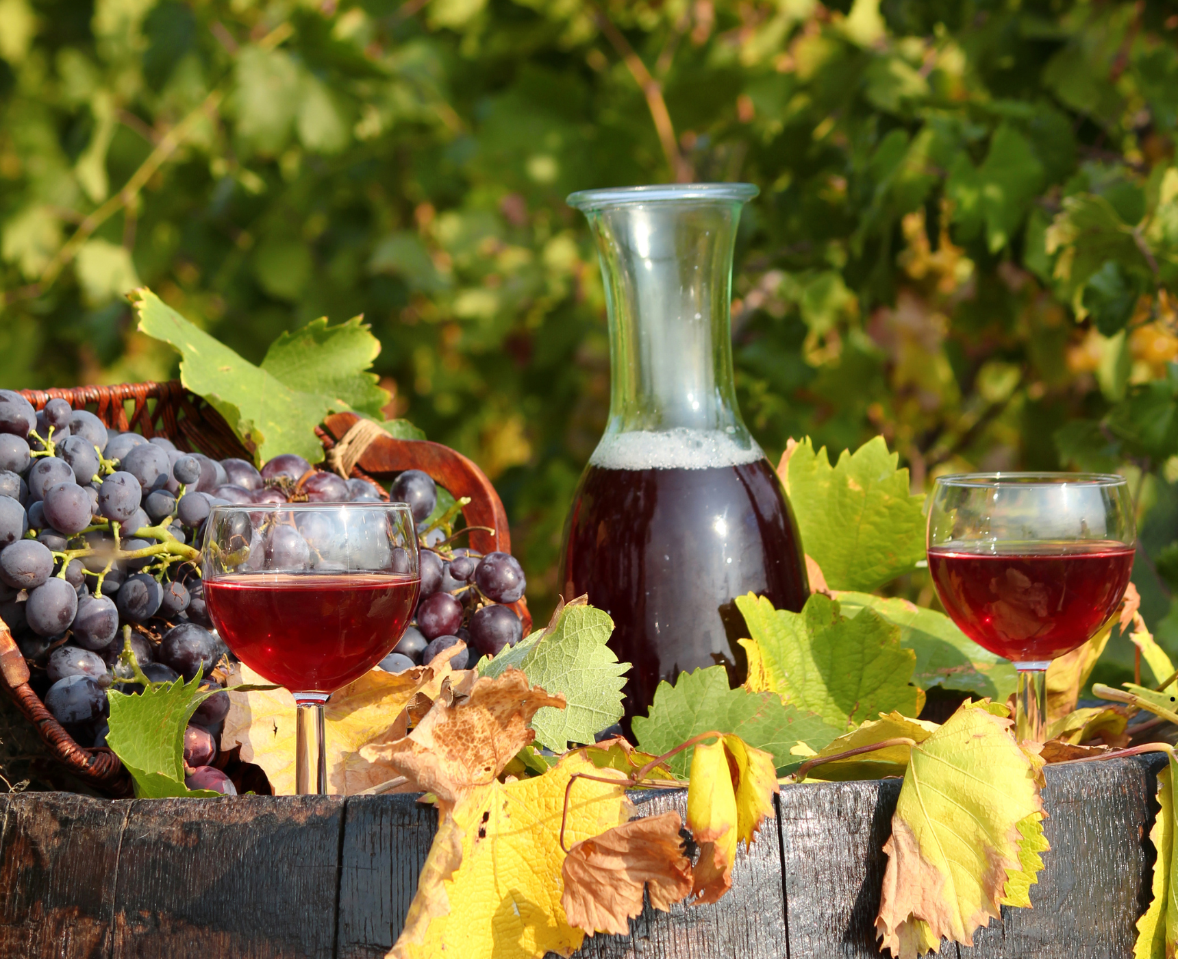 Explore Cobble Hill, BC 2