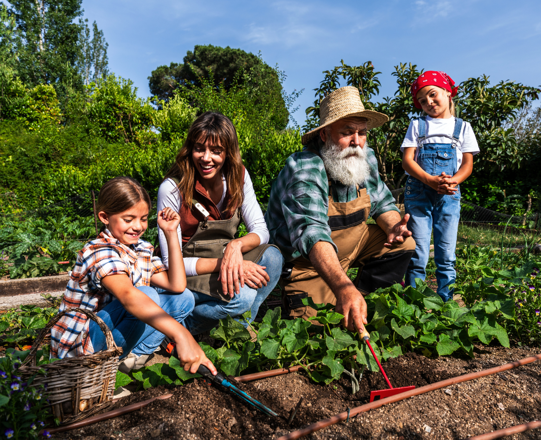 Explore Cassidy, BC 2