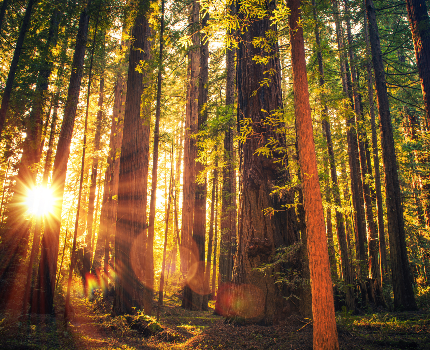 Explore Nanoose Bay, BC 2