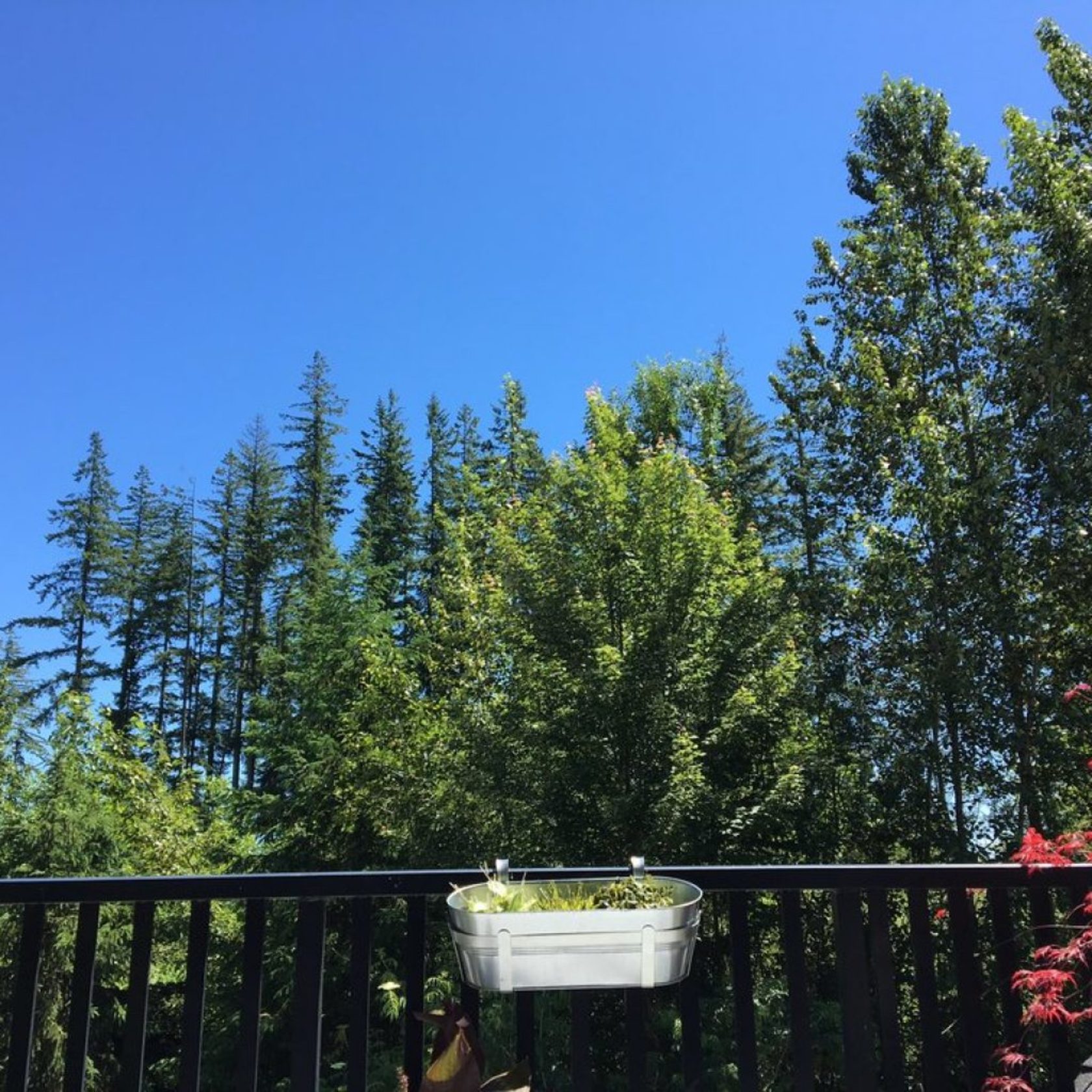 27 - 2200 Panorama Drive, Heritage Woods PM, Port Moody