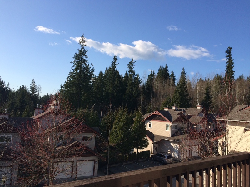 view-21 at 21 - 15 Forest Park Way, Heritage Woods PM, Port Moody