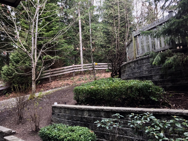 whisper-way at 203 - 2969 Whisper Way, Coquitlam