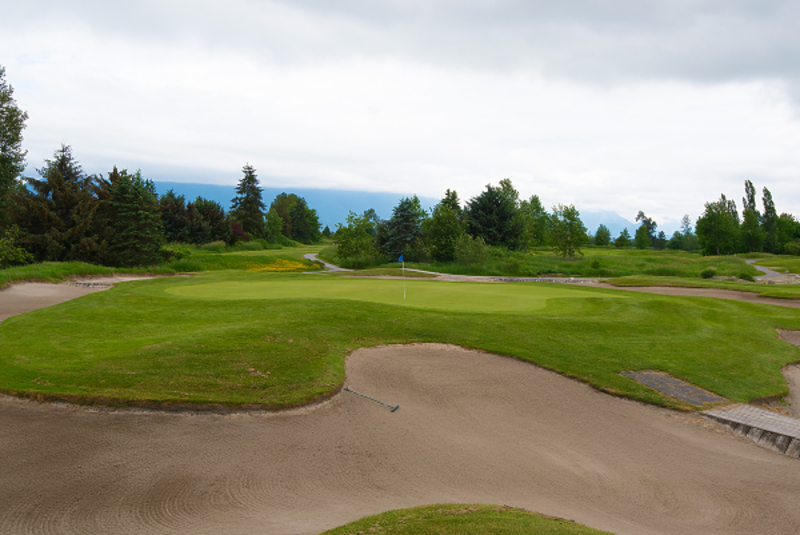 029 at 131 - 19639 Meadow Gardens Way, North Meadows PI, Pitt Meadows