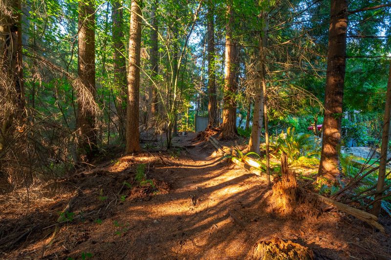 065 at 51 Wilkes Creek, Heritage Mountain, Port Moody