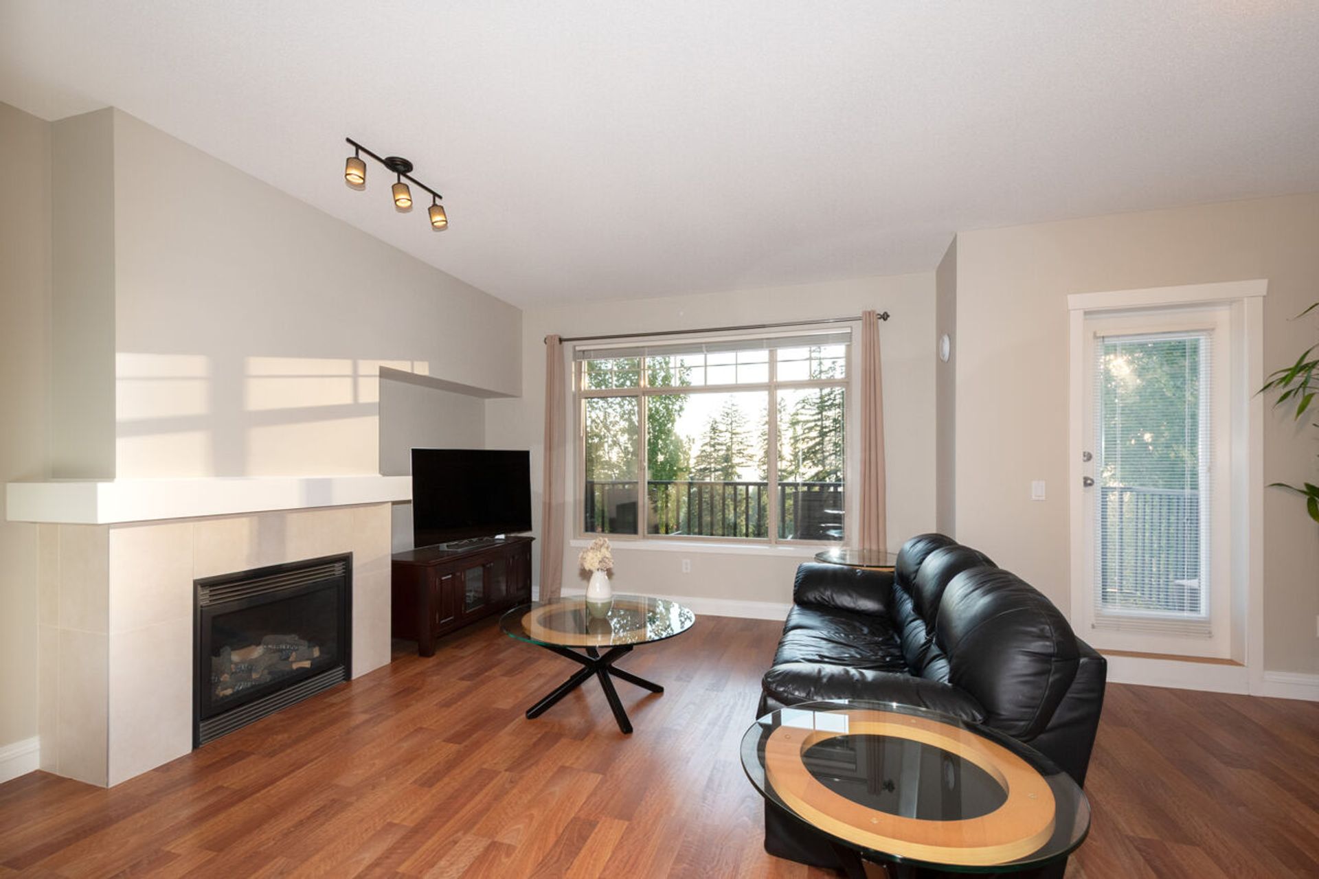 011 at 95 - 55 Hawthorn Drive, Heritage Woods PM, Port Moody