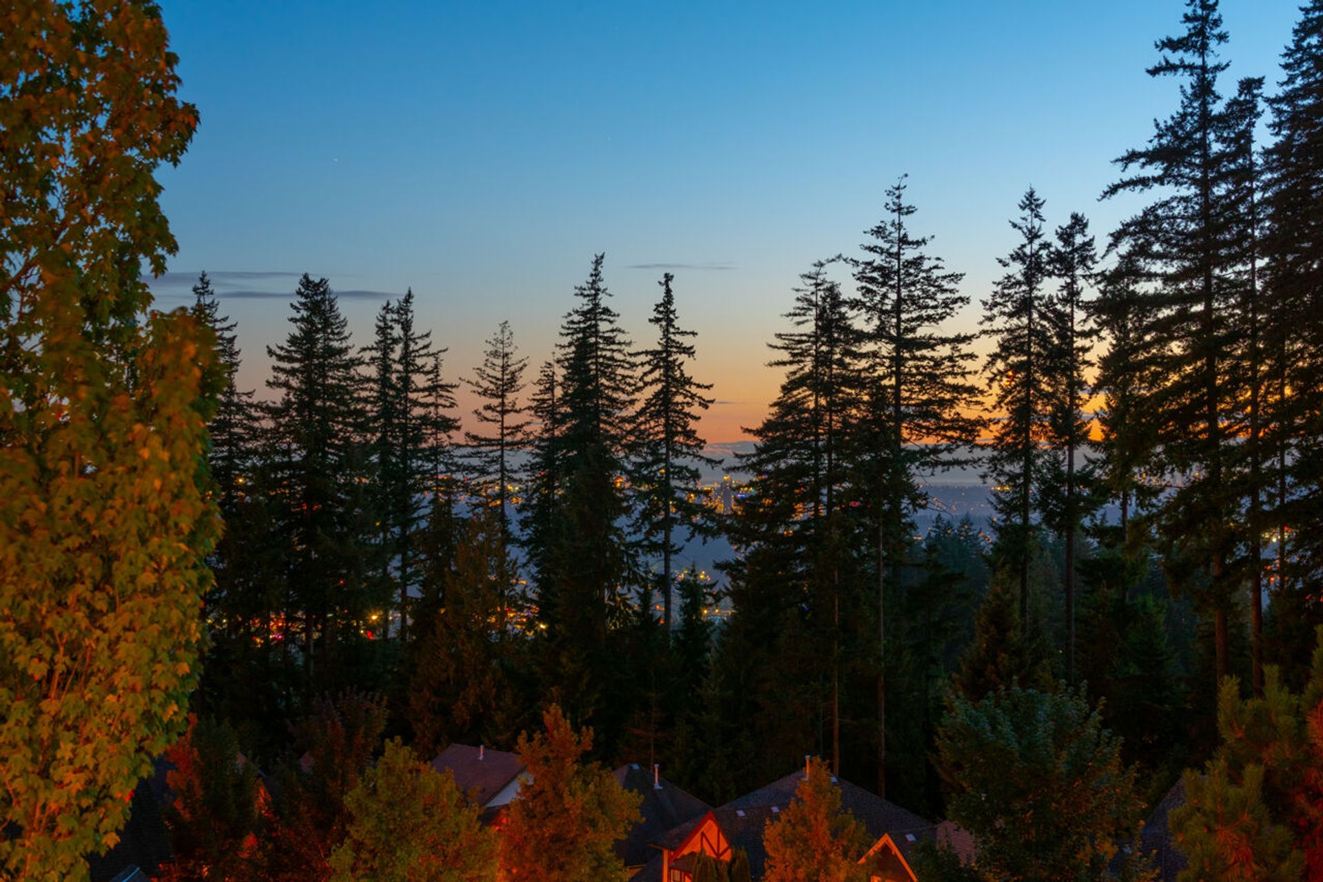 025 at 95 - 55 Hawthorn Drive, Heritage Woods PM, Port Moody