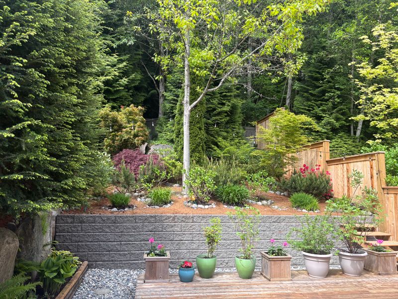 img_5678 at 29 Hickory Drive, Heritage Woods PM, Port Moody