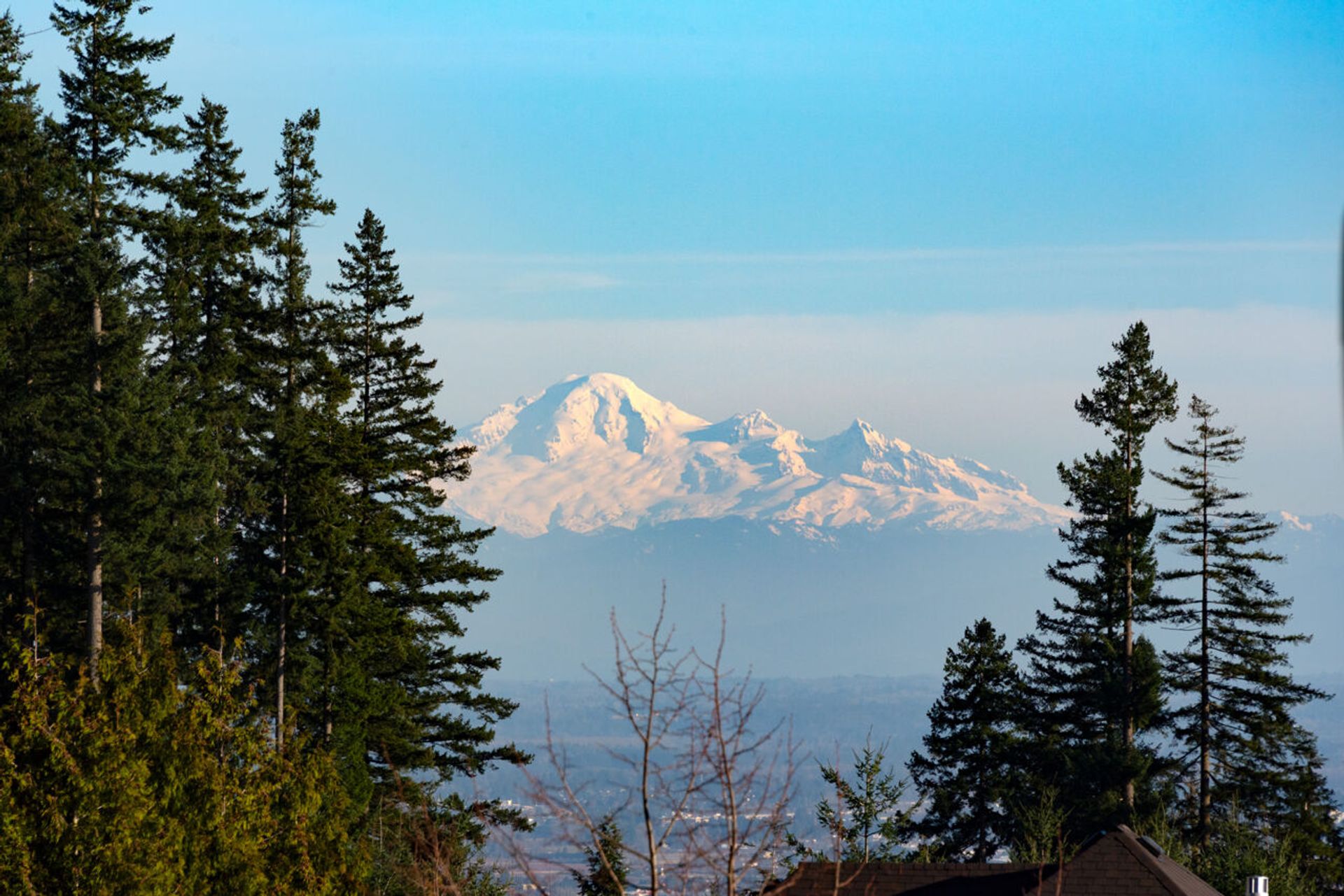 021 at 29 Hickory Drive, Heritage Woods PM, Port Moody