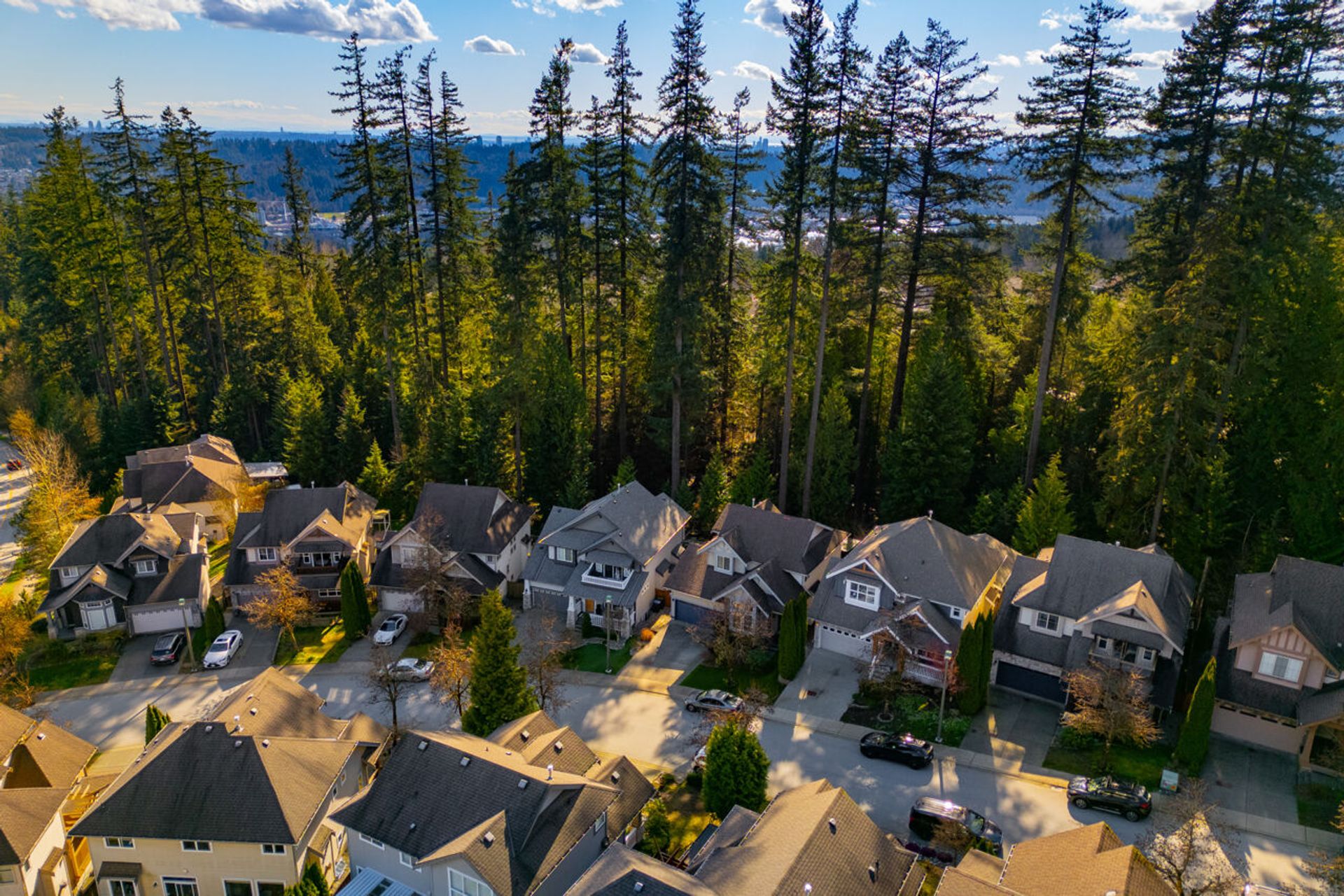 076 at 75 Holly Drive, Heritage Woods PM, Port Moody