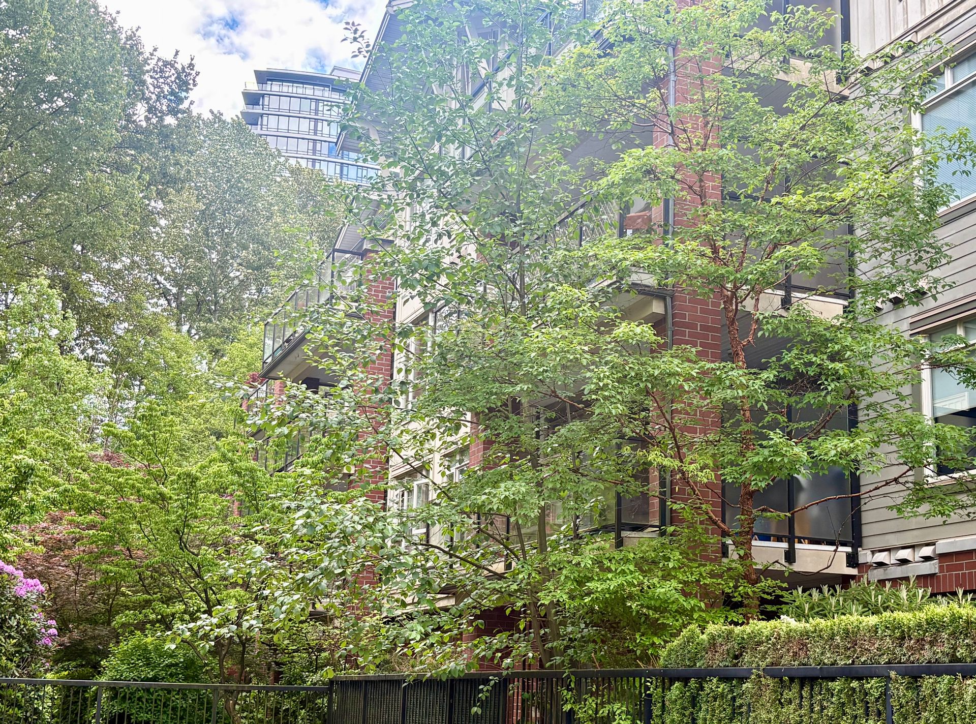 img_5727 at 202 - 200 Capilano Road, Port Moody Centre, Port Moody