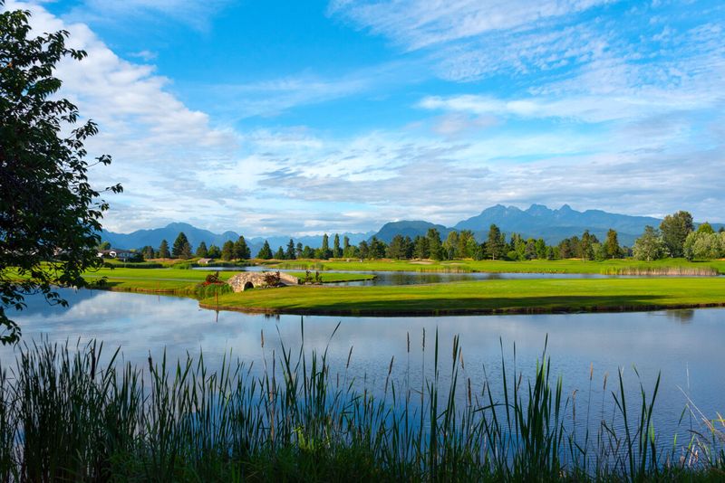 072 at 409 - 19677 Meadow Gardens Way, North Meadows PI, Pitt Meadows