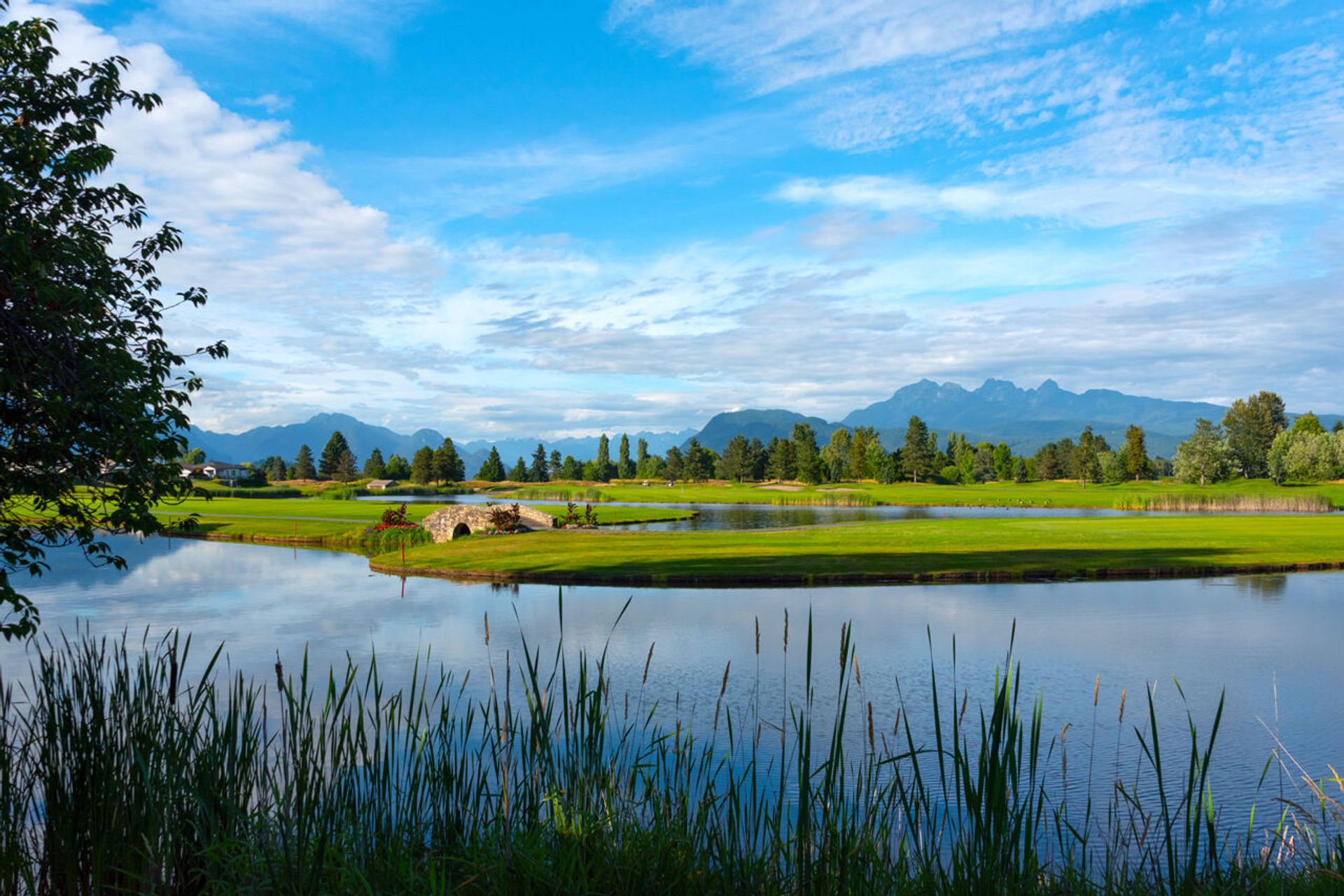 072 at 409 - 19677 Meadow Gardens Way, North Meadows PI, Pitt Meadows