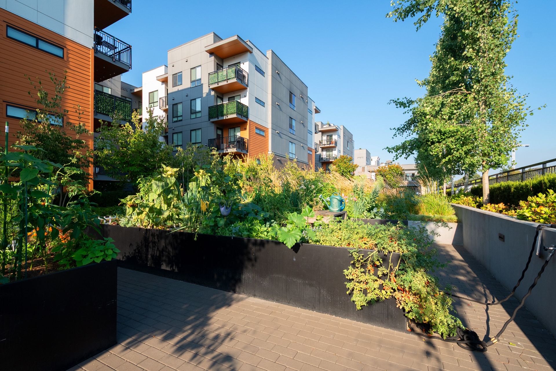 077 at 312 - 55 Klahanie Drive, Port Moody Centre, Port Moody