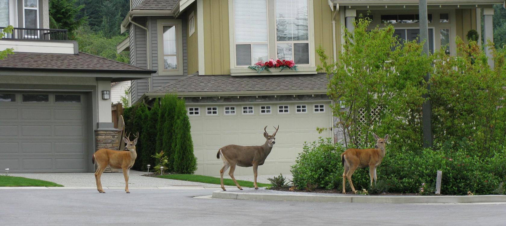 Creatively Marketing Your Home 