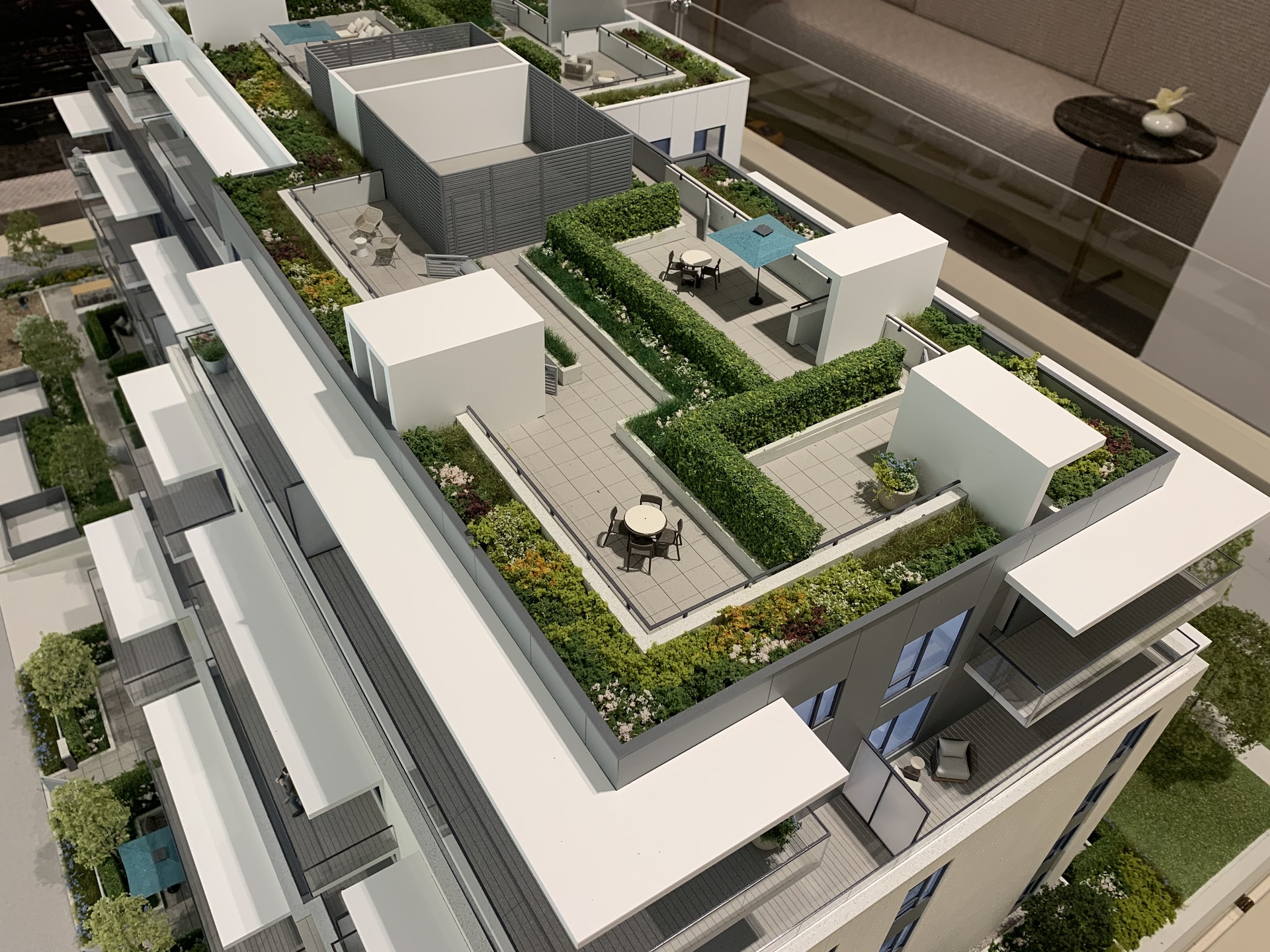 Voyce private roof deck at 5168 Cambie Street, Cambie, Vancouver West Voyce private roof deck at 5168 Cambie Street, Cambie, Vancouver West