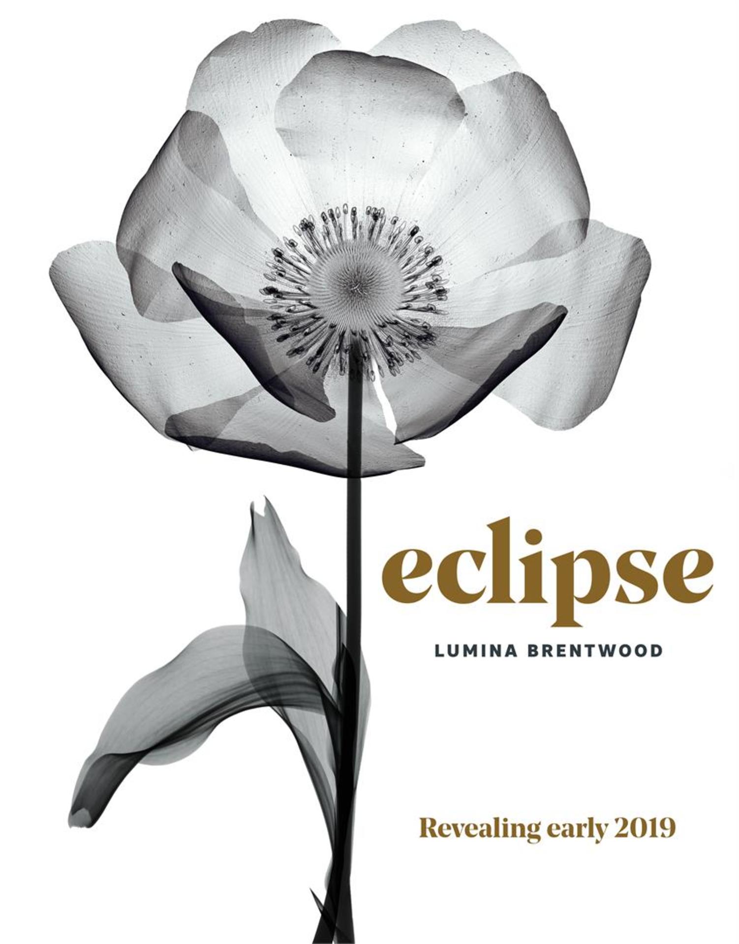 eclipse-brentwood at 2463 Beta Avenue, Brentwood Park, Burnaby North eclipse-brentwood at 2463 Beta Avenue, Brentwood Park, Burnaby North