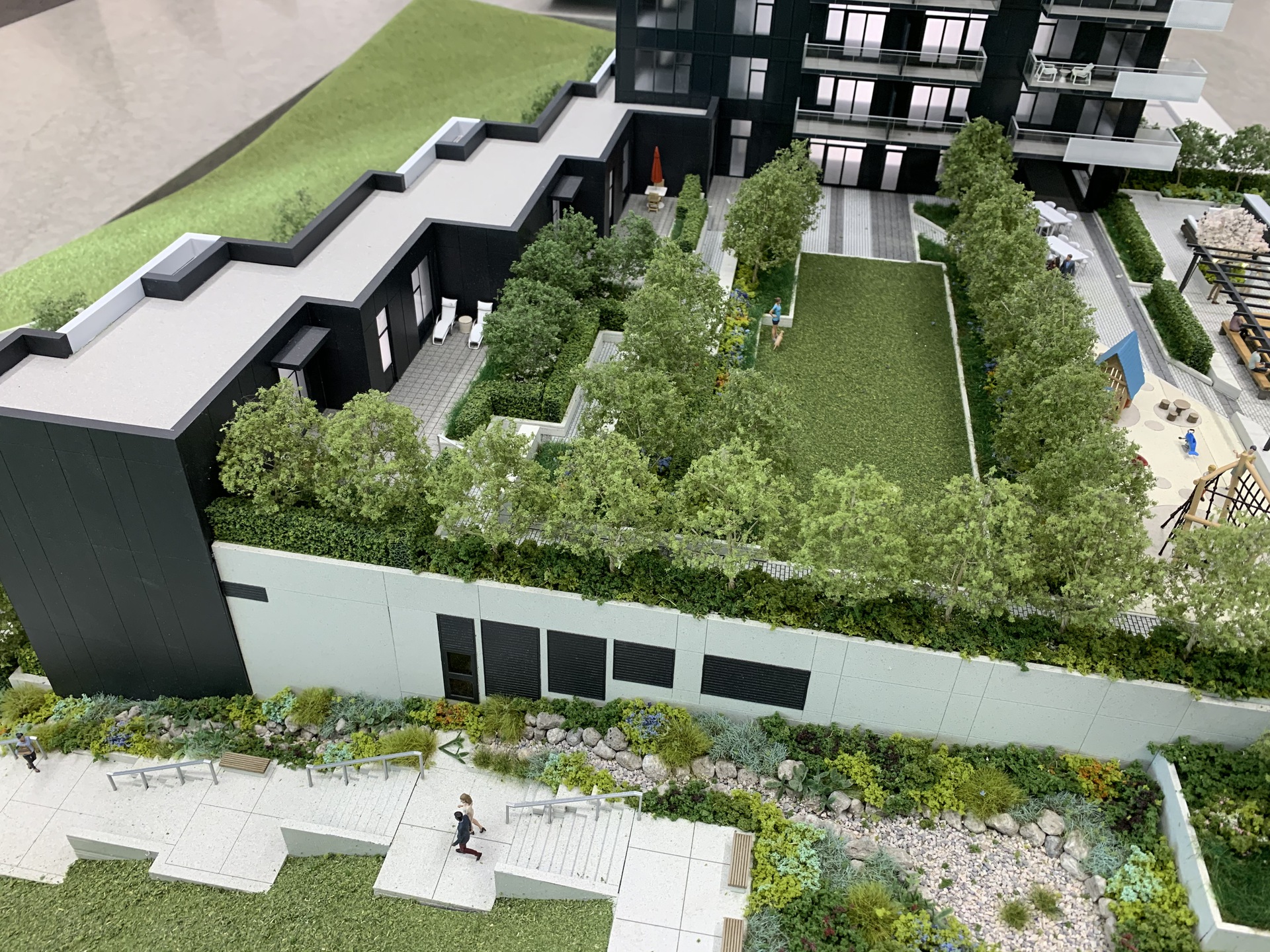 alaska-east-perspective-to-amenity-garden-with-one-level-2-3-beds-with-patios-to-the-left at 4455 Alaska Street, Brentwood Park, Burnaby North alaska-east-perspective-to-amenity-garden-with-one-level-2-3-beds-with-patios-to-the-left at 4455 Alaska Street, Brentwood Park, Burnaby North