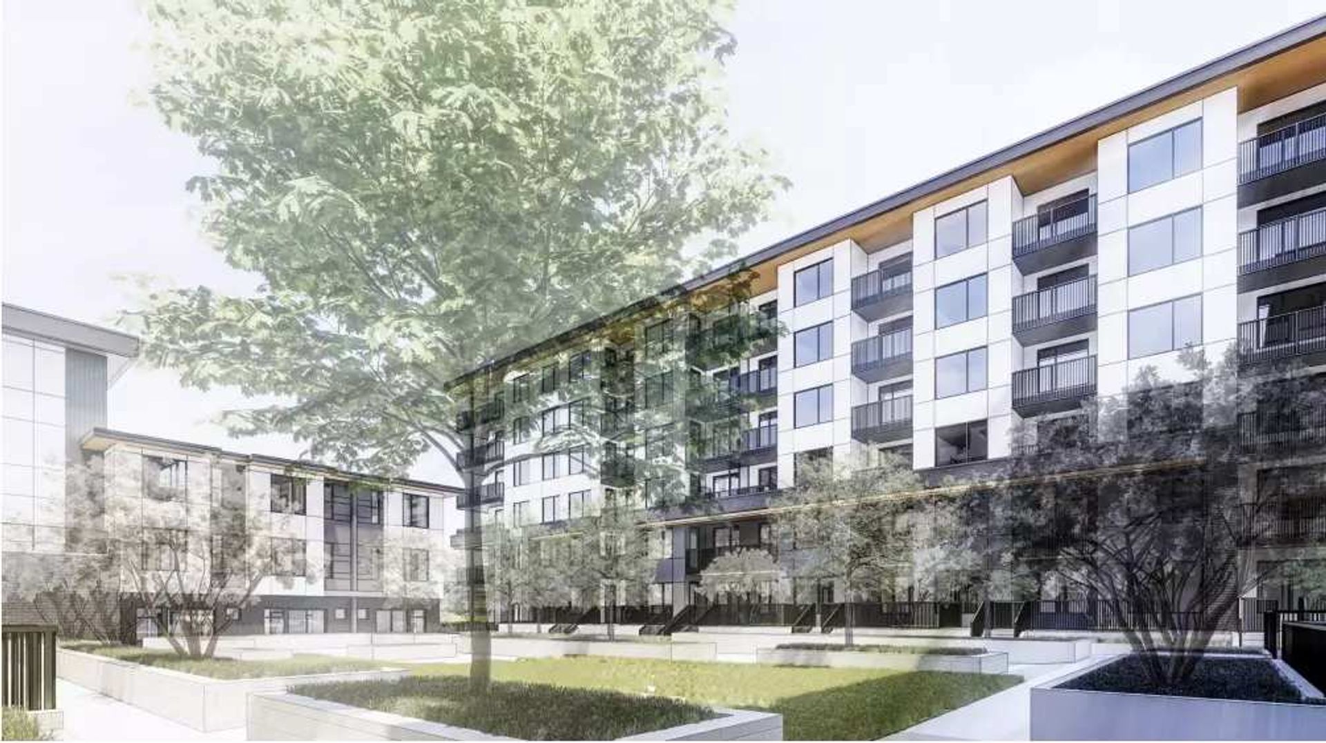 halo-surrey-by-polygon-homes-courtyard at 15268 24 Avenue, Sunnyside Park Surrey, South Surrey White Rock halo-surrey-by-polygon-homes-courtyard at 15268 24 Avenue, Sunnyside Park Surrey, South Surrey White Rock