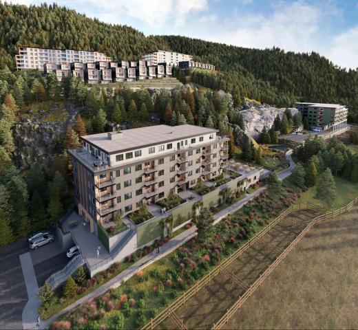 1050 Finch Drive, Brennan Center, Squamish