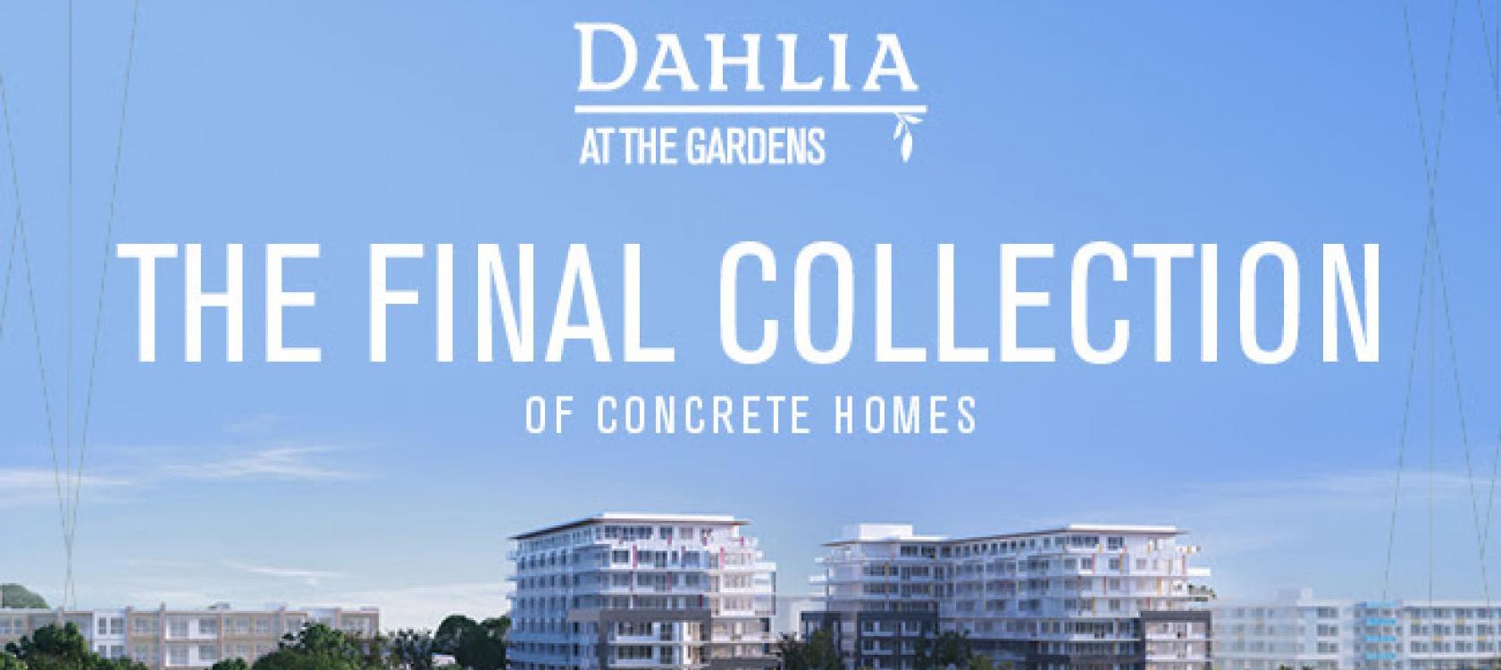 Dahlia at The Gardens