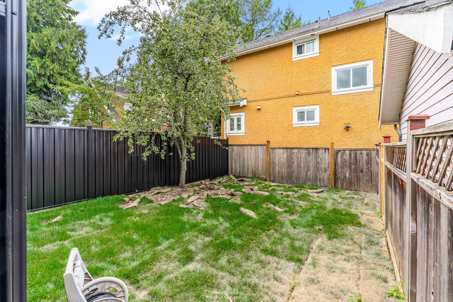 Rear garden with pear tree at 1 - 5221 Clarendon Street, Collingwood VE, Vancouver East Rear garden with pear tree at 1 - 5221 Clarendon Street, Collingwood VE, Vancouver East