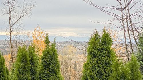 407-mariner-way-coquitlam-east-c at 407 Mariner Way, Coquitlam East, Coquitlam 407-mariner-way-coquitlam-east-c at 407 Mariner Way, Coquitlam East, Coquitlam