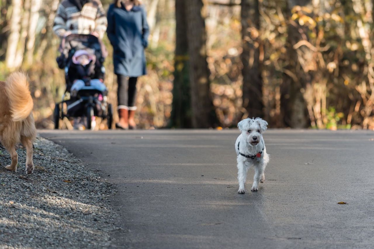 801-klahanie-drive-port-moody-centre-port-moody-35 at 228 - 801 Klahanie Drive, Port Moody Centre, Port Moody