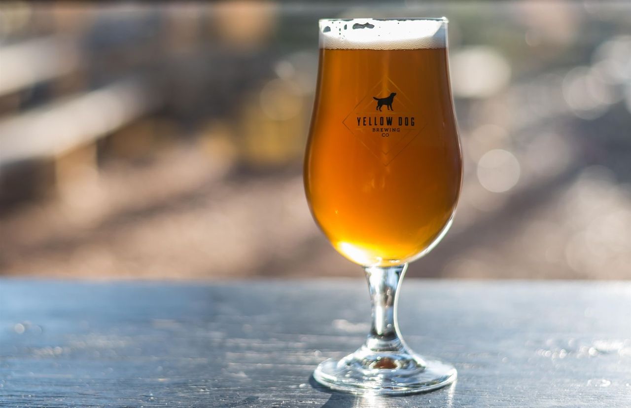 801-klahanie-drive-port-moody-centre-port-moody-39 at 228 - 801 Klahanie Drive, Port Moody Centre, Port Moody