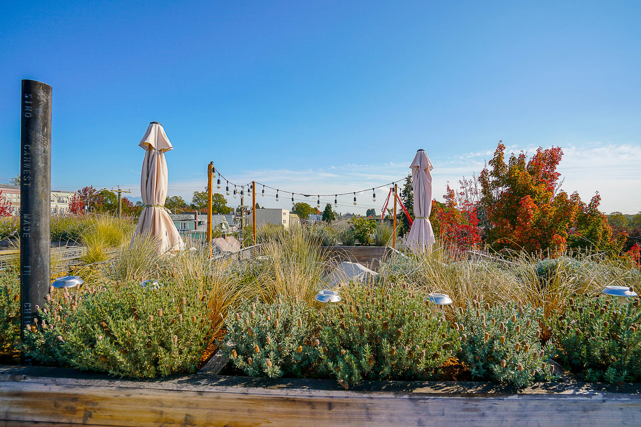 3185-George-Street-Vancouver-by-Nomi-Malik-46 at 3185 St. George Street, Mount Pleasant VE, Vancouver East