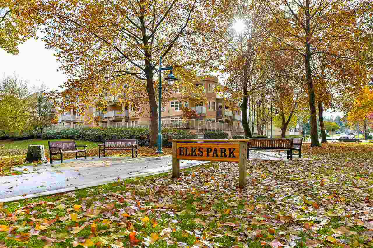 16.jpg at 204 - 2214  Avenue, Central Pt Coquitlam, Port Coquitlam