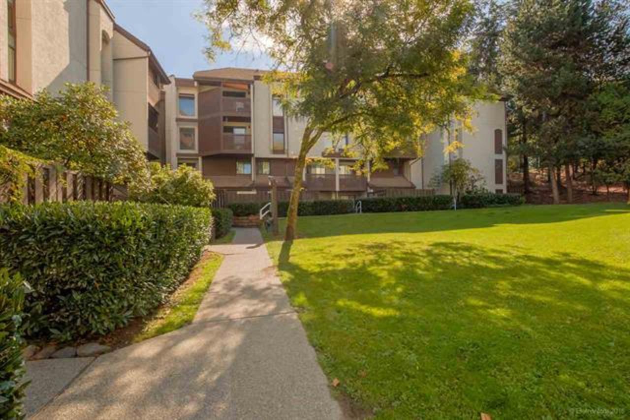 Garden Courtyard at 311 - 340 Ginger Drive, Fraserview NW, New Westminster