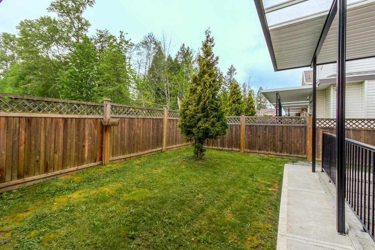 Backyard at 7015 - 149 Street Surrey Bc