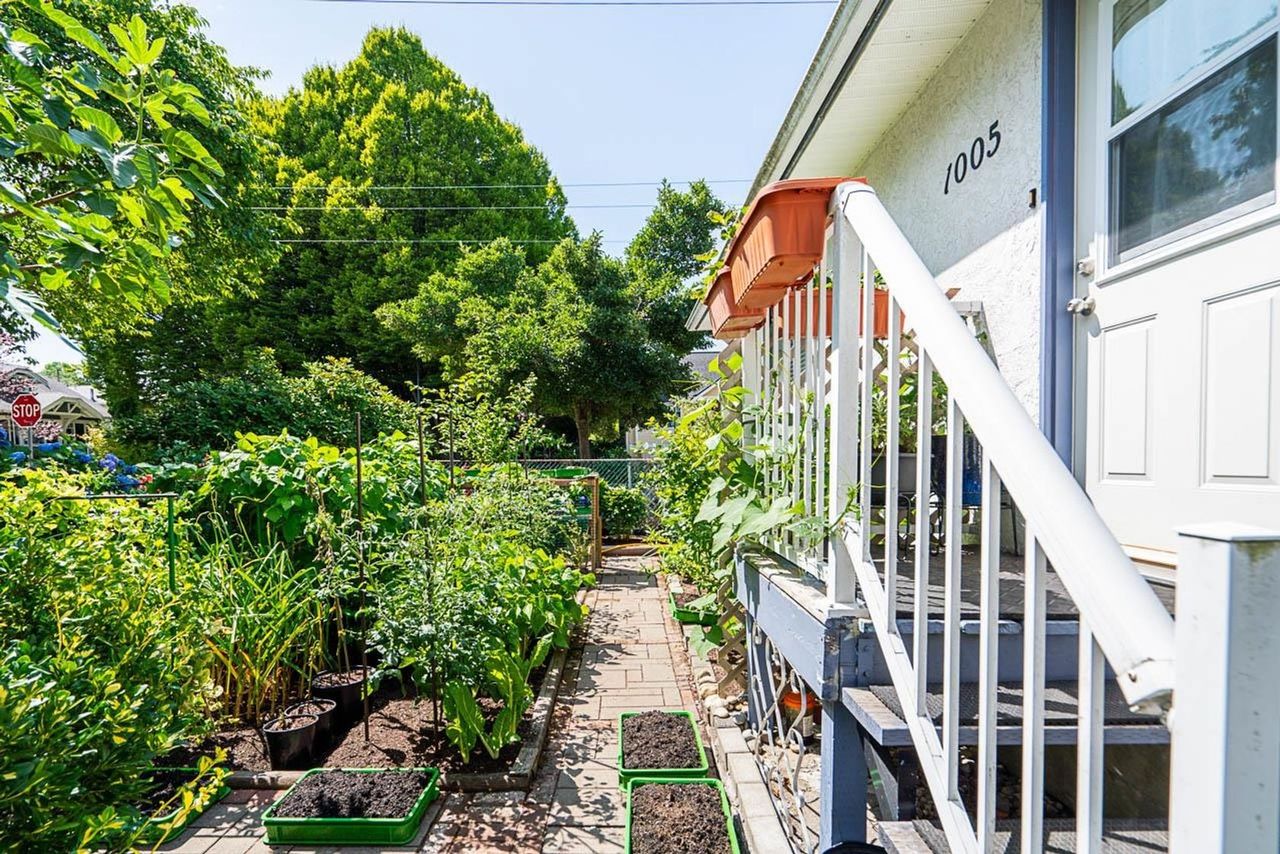 1005-e-22nd-avenue-fraser-ve-vancouver-east-21 at 1005 E 22nd Avenue, Fraser VE, Vancouver East