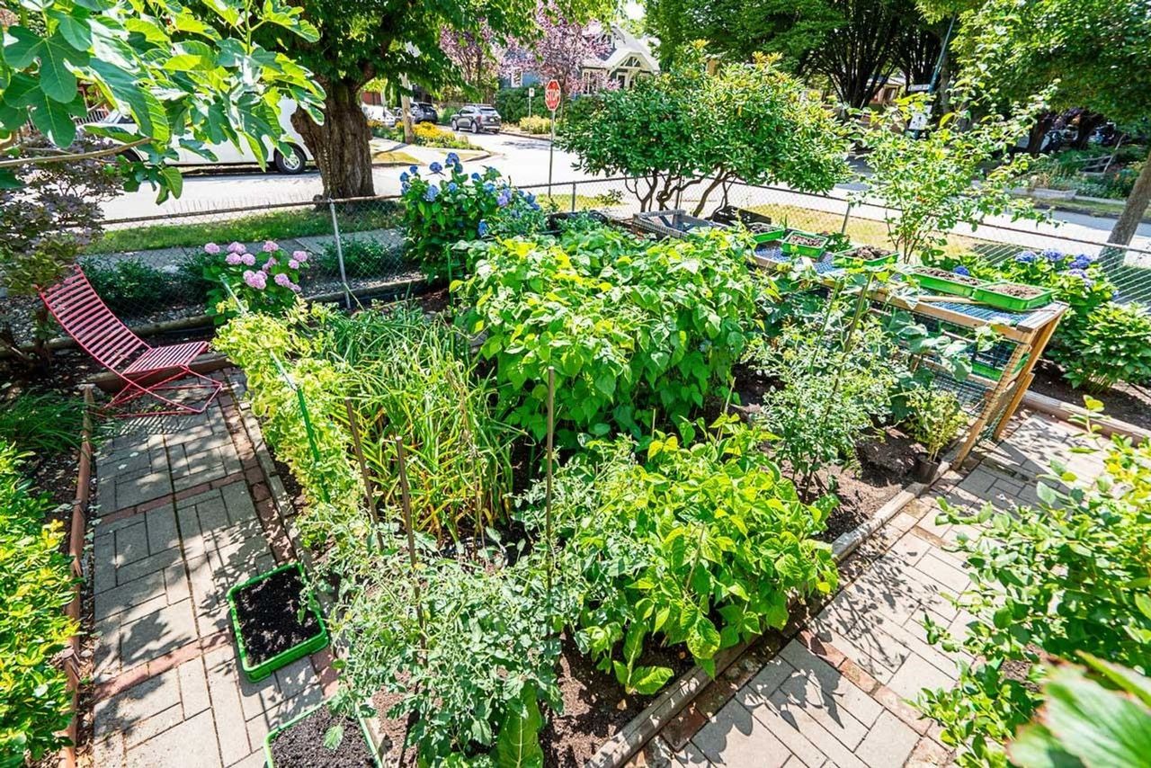 1005-e-22nd-avenue-fraser-ve-vancouver-east-23 at 1005 E 22nd Avenue, Fraser VE, Vancouver East