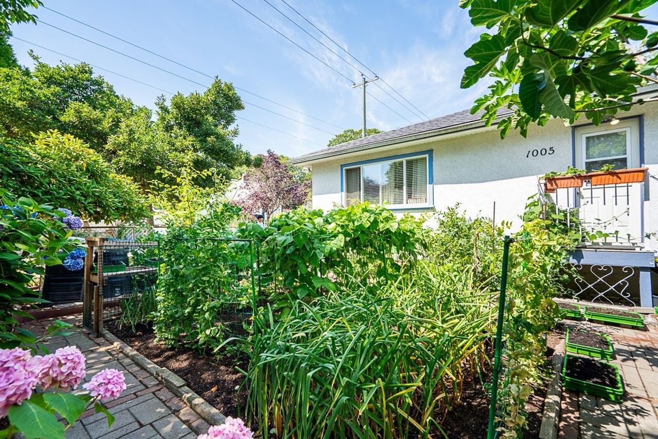 1005-e-22nd-avenue-fraser-ve-vancouver-east-25 at 1005 E 22nd Avenue, Fraser VE, Vancouver East