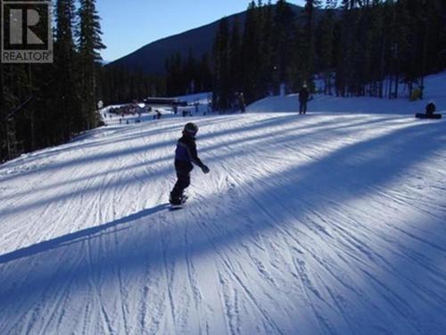 244-creekview-road-pe-apex-mountain-hedley-penticton-apex-04 at 244 Creekview Road, Apex 244-creekview-road-pe-apex-mountain-hedley-penticton-apex-04 at 244 Creekview Road, Apex