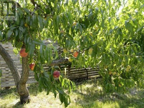 730-robinson-ave-na-naramata-village-naramata-13 at 730 Robinson Avenue, Naramata Village, Naramata