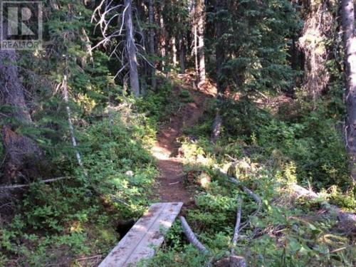 110-snow-mountain-place-pe-apex-mountain-hedley-apex-03 at 110 Snow Mountain Place, Apex Mountain (hedley), Apex 110-snow-mountain-place-pe-apex-mountain-hedley-apex-03 at 110 Snow Mountain Place, Apex Mountain (hedley), Apex